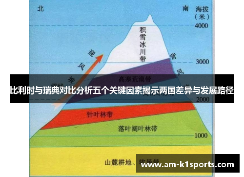 比利时与瑞典对比分析五个关键因素揭示两国差异与发展路径