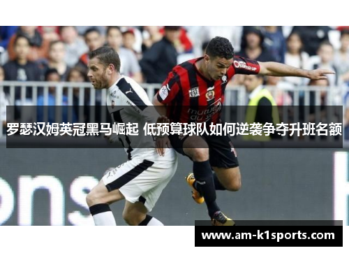 罗瑟汉姆英冠黑马崛起 低预算球队如何逆袭争夺升班名额 罗瑟汉姆英冠黑马崛起 低预算球队如何逆袭争夺升班名额