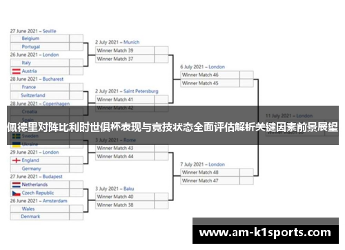 佩德里对阵比利时世俱杯表现与竞技状态全面评估解析关键因素前景展望