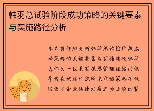 韩羽总试验阶段成功策略的关键要素与实施路径分析